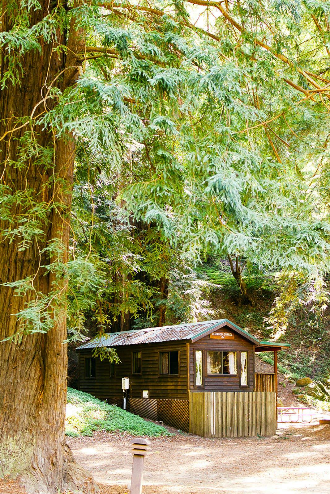 Hotel Fernwood Resort photo 3