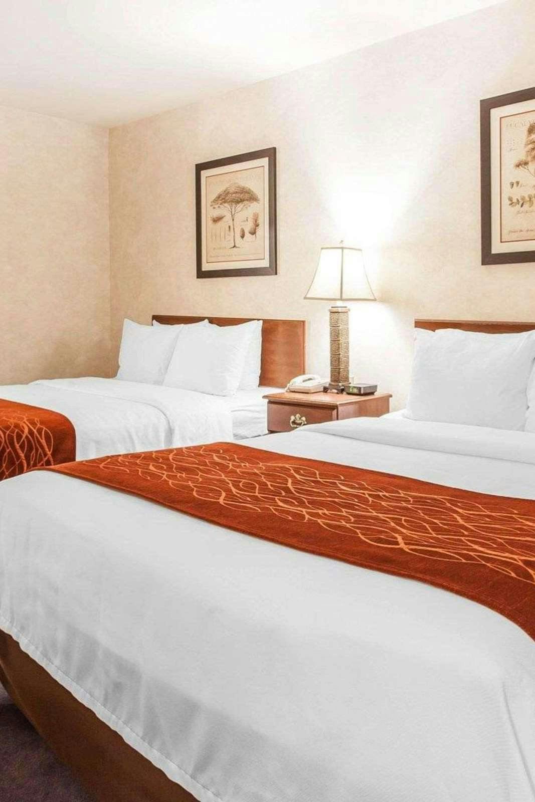 Hotel Holiday Inn Express & Suites Tumwater - Olympia By IHG photo 4