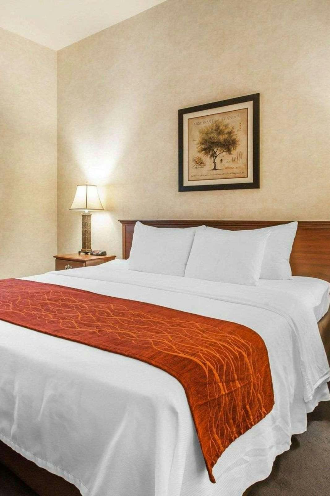 Hotel Holiday Inn Express & Suites Tumwater - Olympia By IHG photo 2