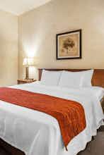 Hotel Holiday Inn Express & Suites Tumwater - Olympia By IHG photo 2