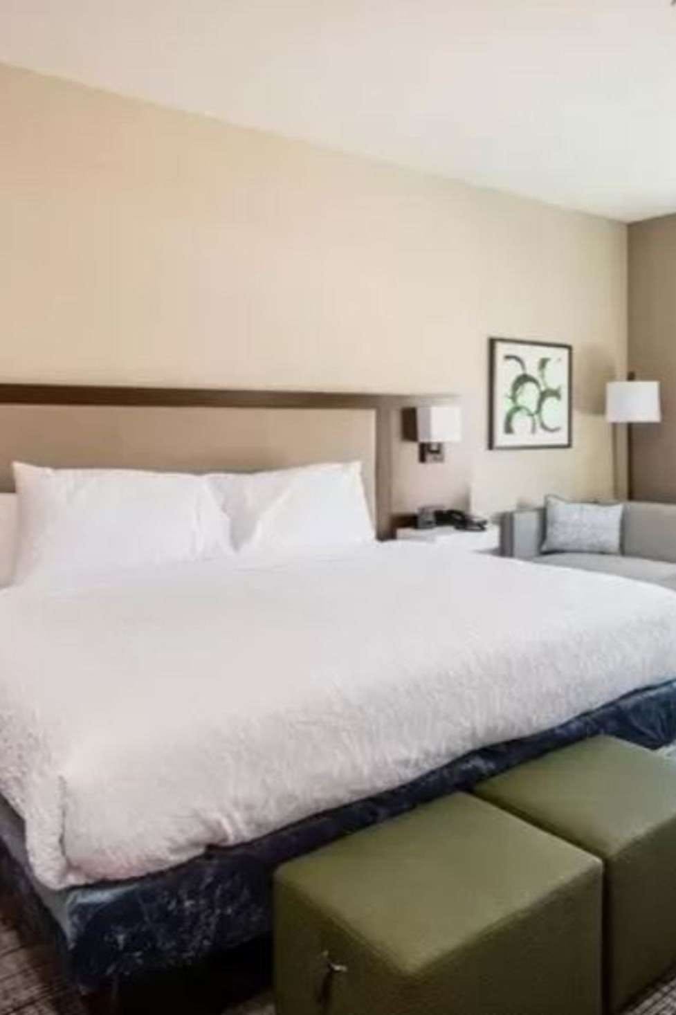 Hotel Hampton Inn & Suites St. George, UT photo 3