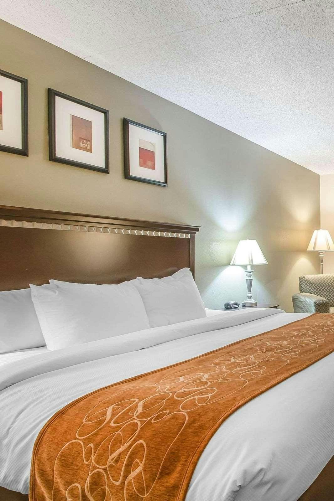 Hotel Comfort Inn & Suites Rochelle - DeKalb photo 1
