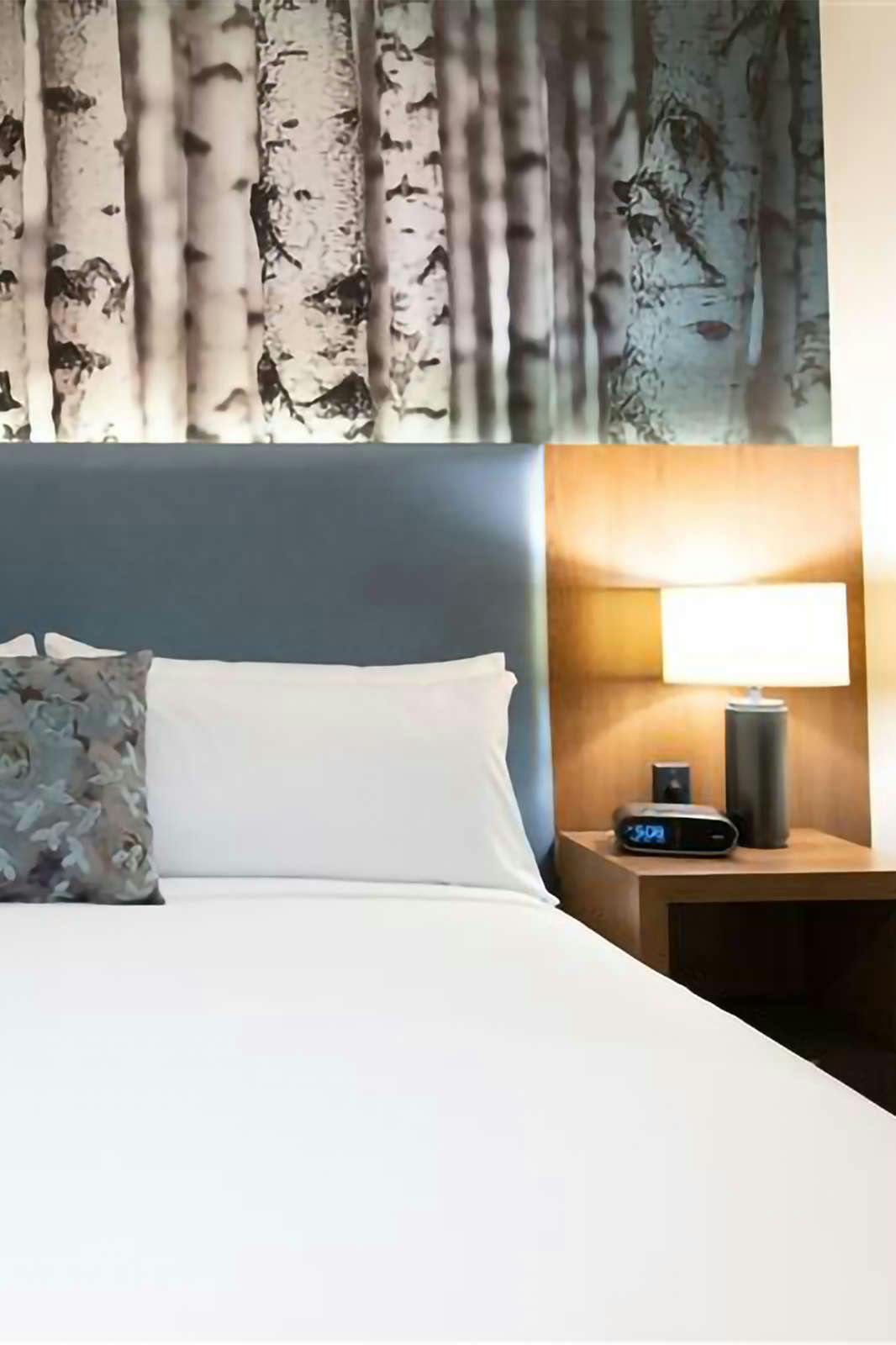 Hotel The Alder at Resort World Catskills photo 2