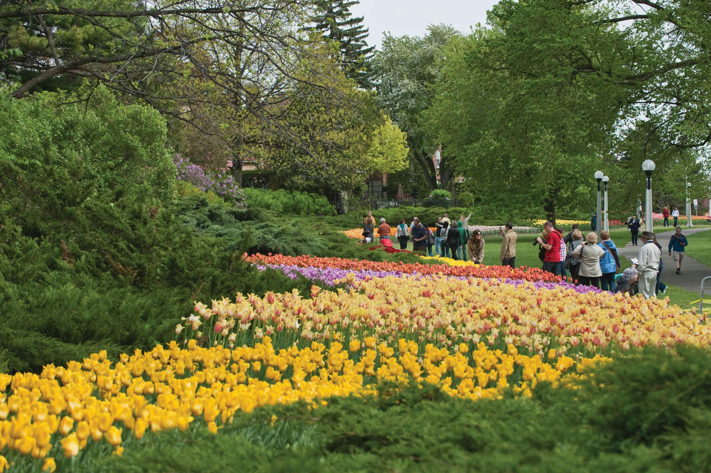 Hotel Lord Elgin Hotel photo 2