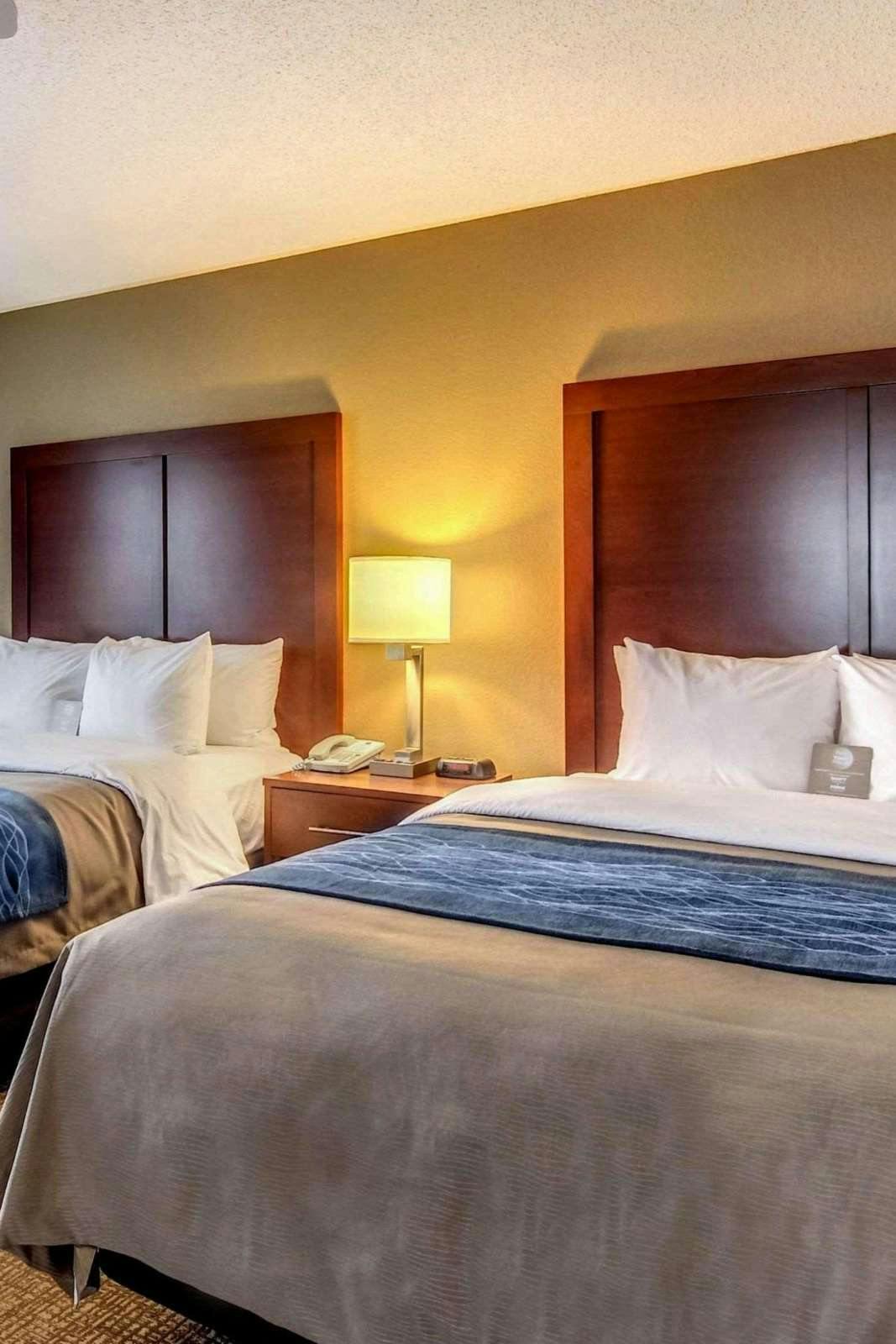 Hotel Comfort Inn & Suites Grafton - Cedarburg photo 2