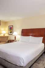 Hotel Hilton Garden Inn El Paso University photo 1