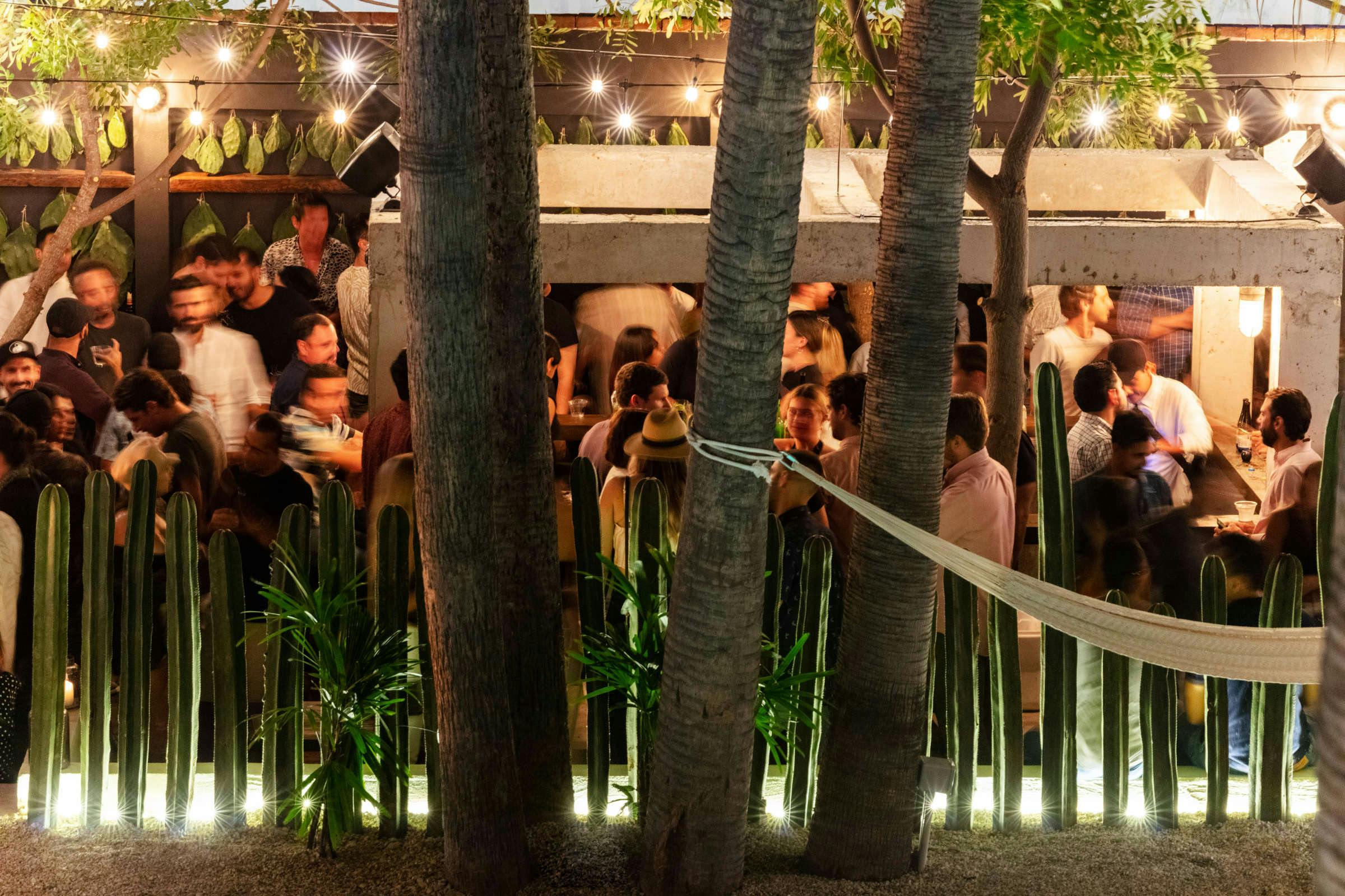 Hotel Drift San José photo 4