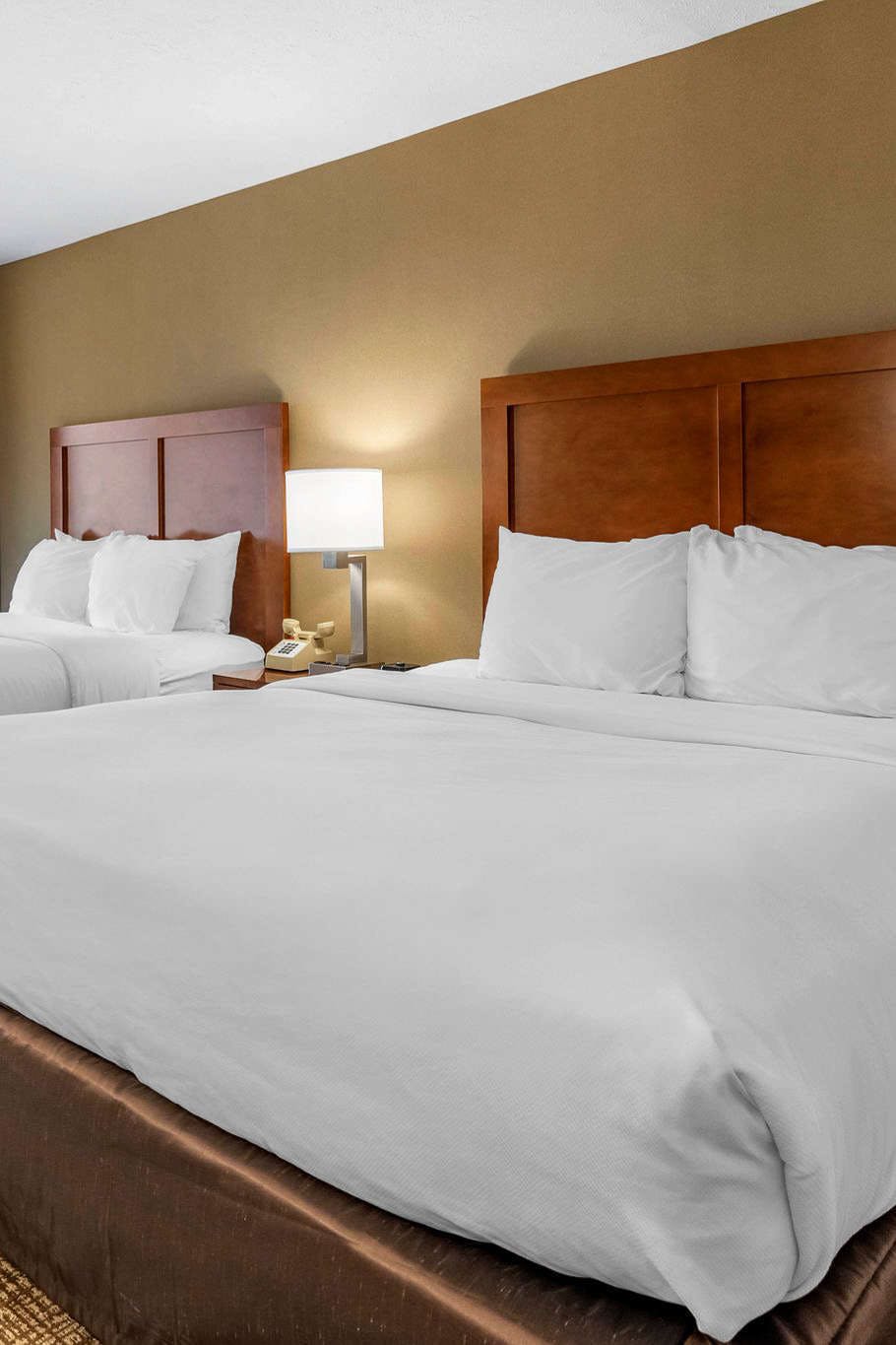 Hotel Comfort Inn & Suites Montpelier-Berlin photo 3