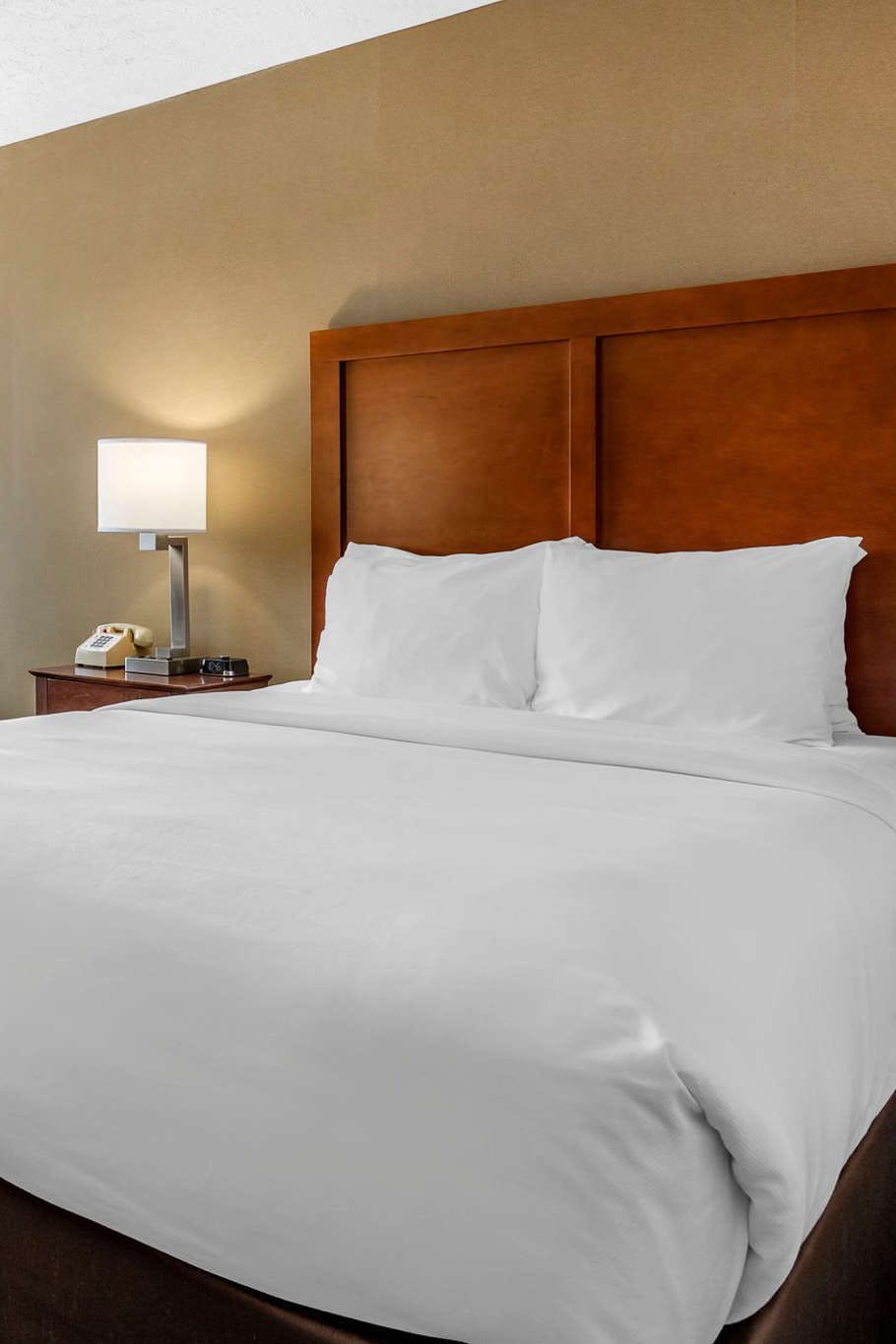 Hotel Comfort Inn & Suites Montpelier-Berlin photo 1