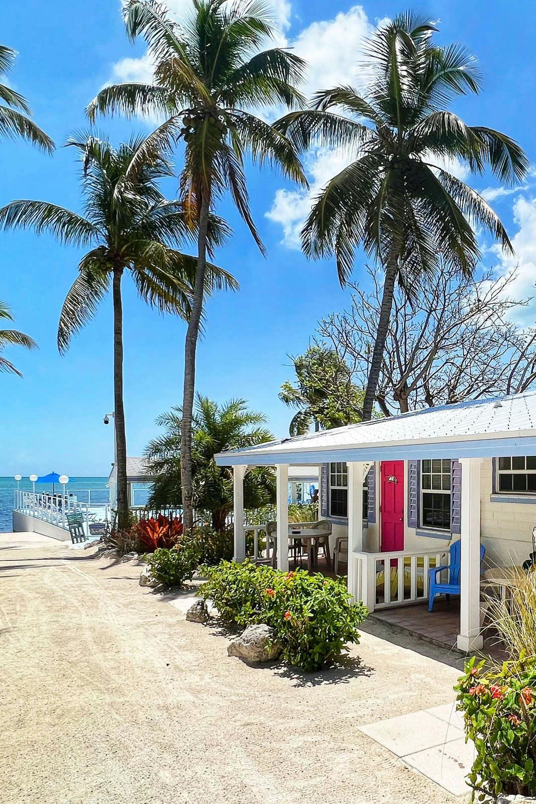 Hotel Pines and Palms Resort photo 1