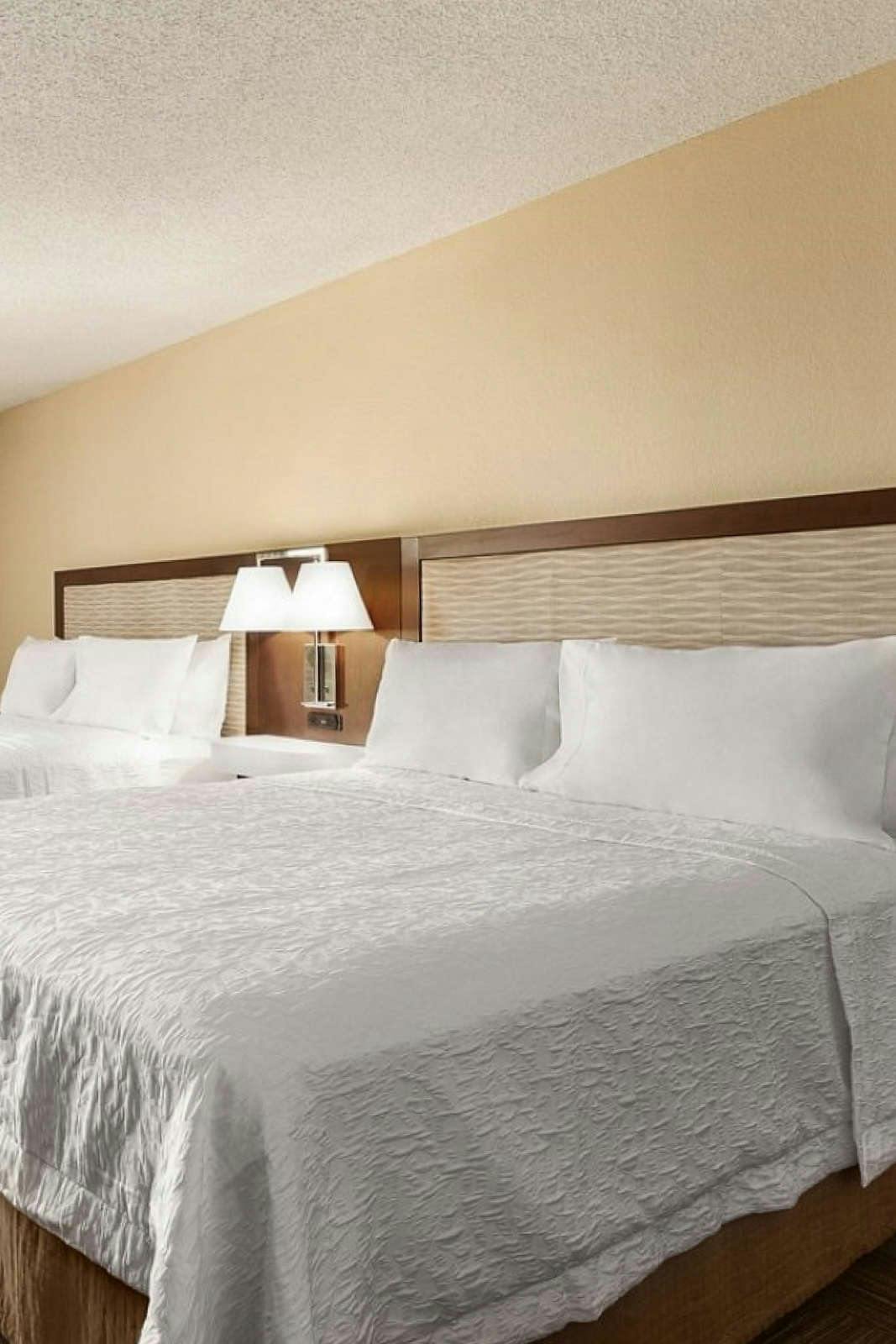 Hotel Hampton Inn Houston Hobby Airport photo 4