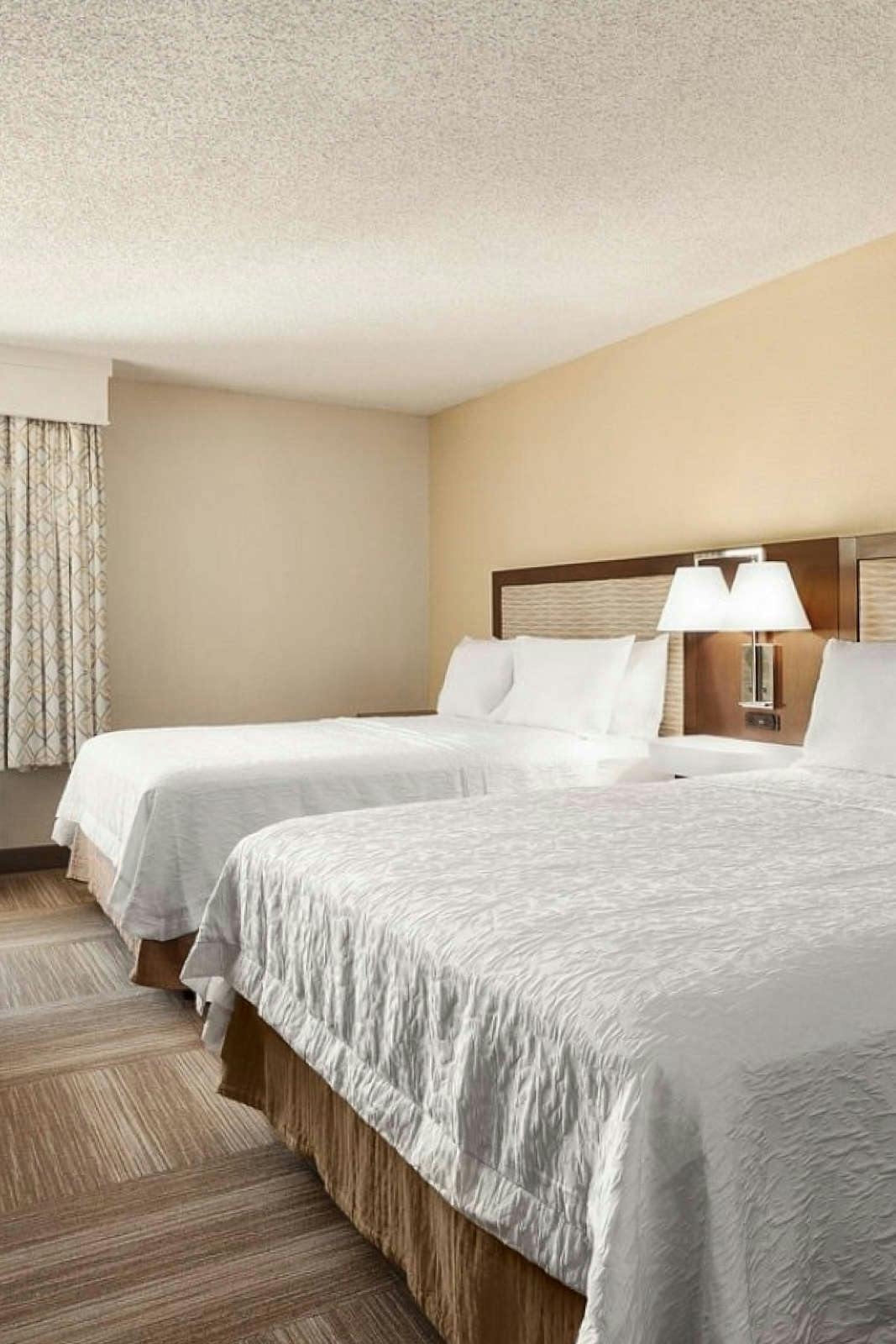 Hotel Hampton Inn Houston Hobby Airport photo 3