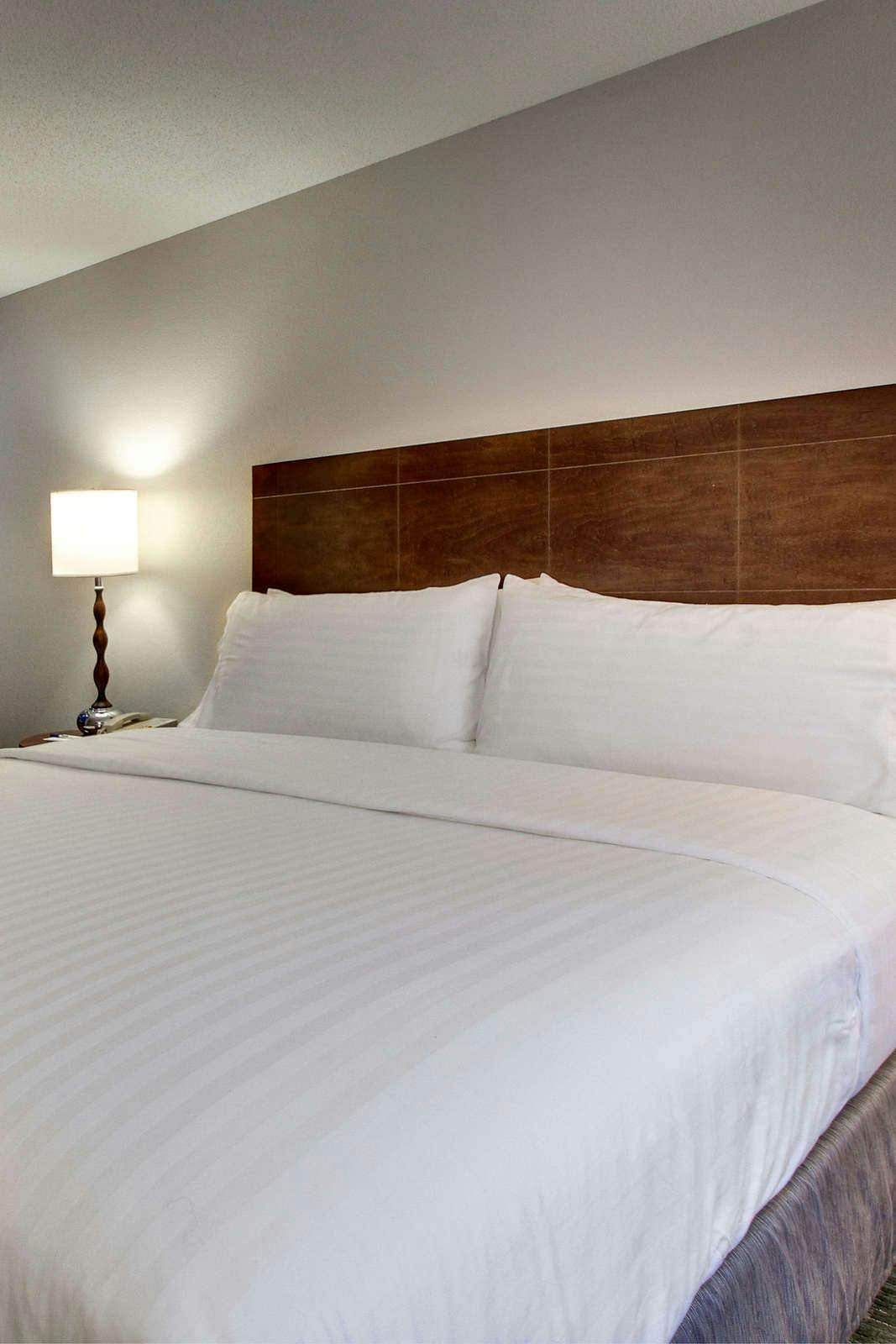 Hotel Holiday Inn Express & Suites Lincoln East - White Mountains photo 3