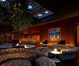 Hotel Dream Downtown, by Hyatt photo 1