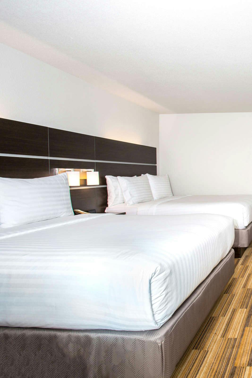 Hotel Holiday Inn Express & Suites Rapid City - Rushmore South photo 5