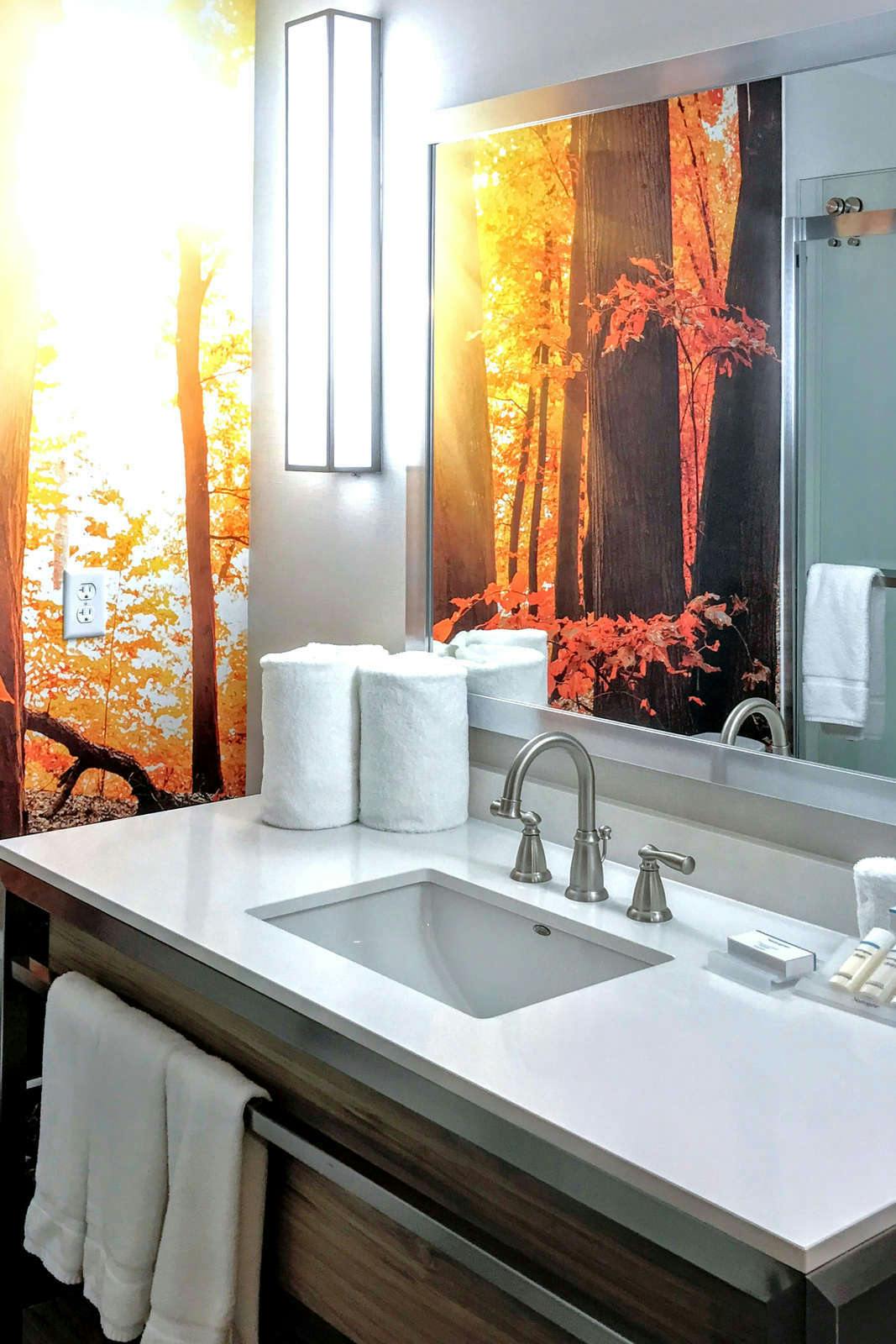 Hotel Hilton Garden Inn Minneapolis Airport Mall of America photo 4