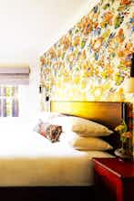 Hotel The Stavrand Russian River Valley photo 4