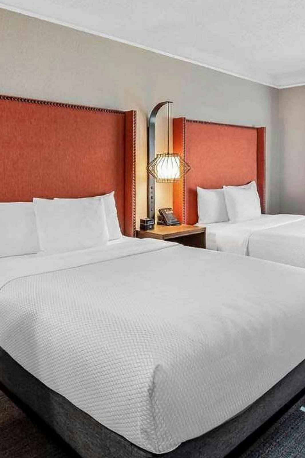 Hotel La Quinta Inn & Suites by Wyndham San Francisco Airport N photo 2