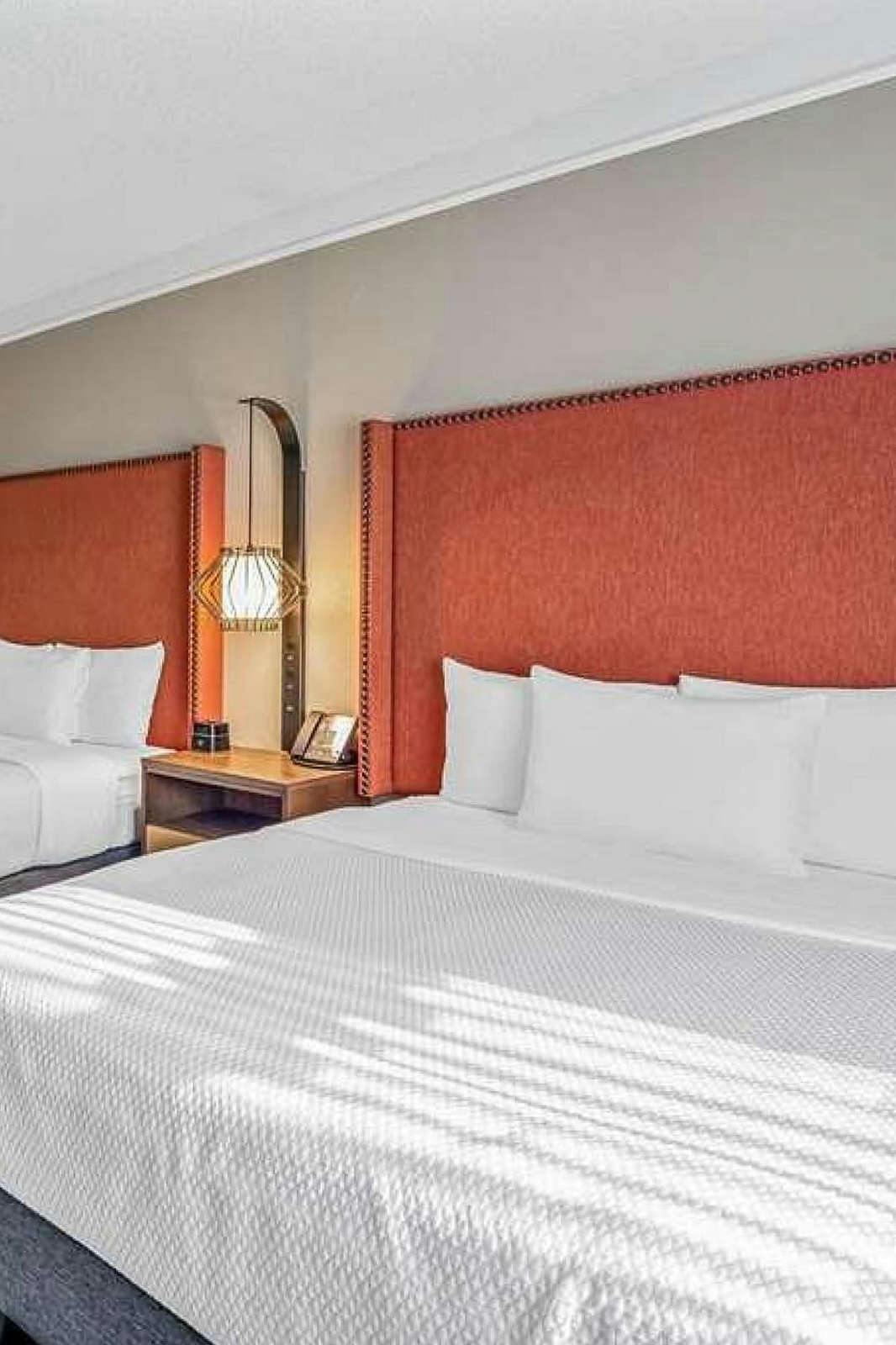 Hotel La Quinta Inn & Suites by Wyndham San Francisco Airport N photo 4