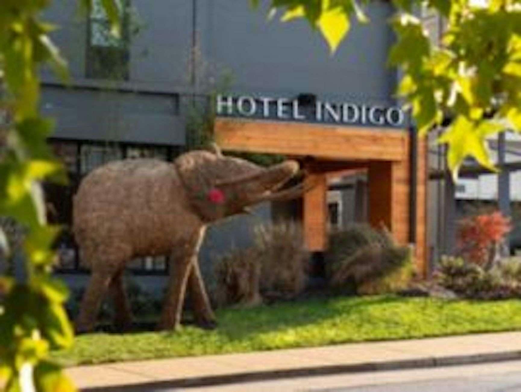 Hotel Indigo Chattanooga Downtown