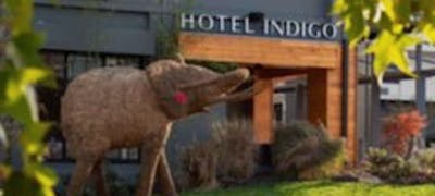 Hotel Indigo Chattanooga Downtown