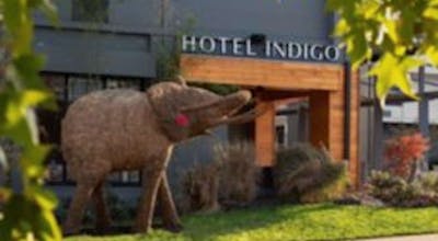 Hotel Indigo Chattanooga Downtown