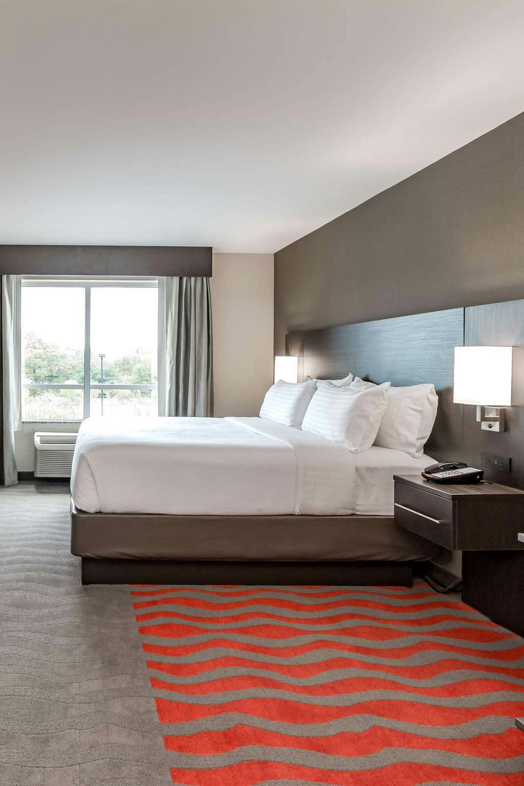 Hotel Holiday Inn Mishawaka Conference Center photo 2