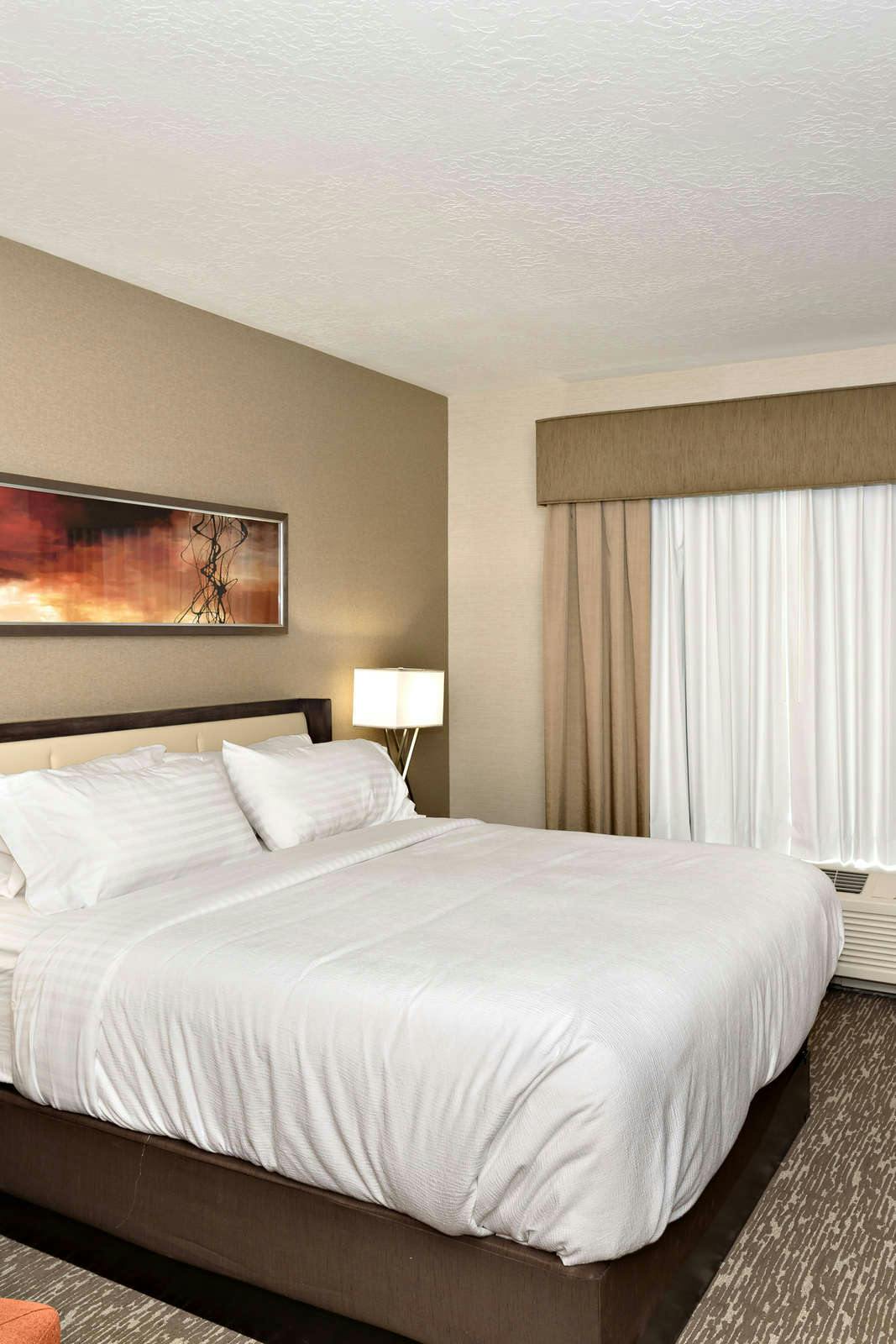 Hotel Holiday Inn St. George Convention Center photo 2