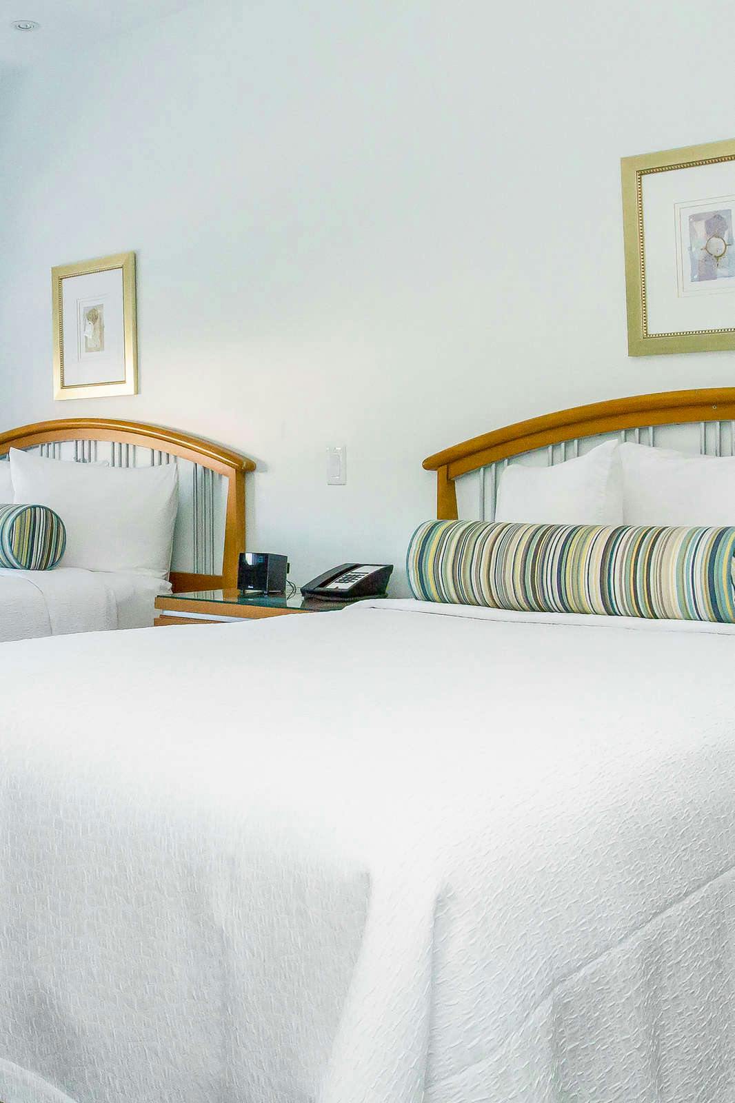 Hotel Dorchester Hotel & Suites photo 3