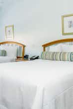 Hotel Dorchester Hotel & Suites photo 3