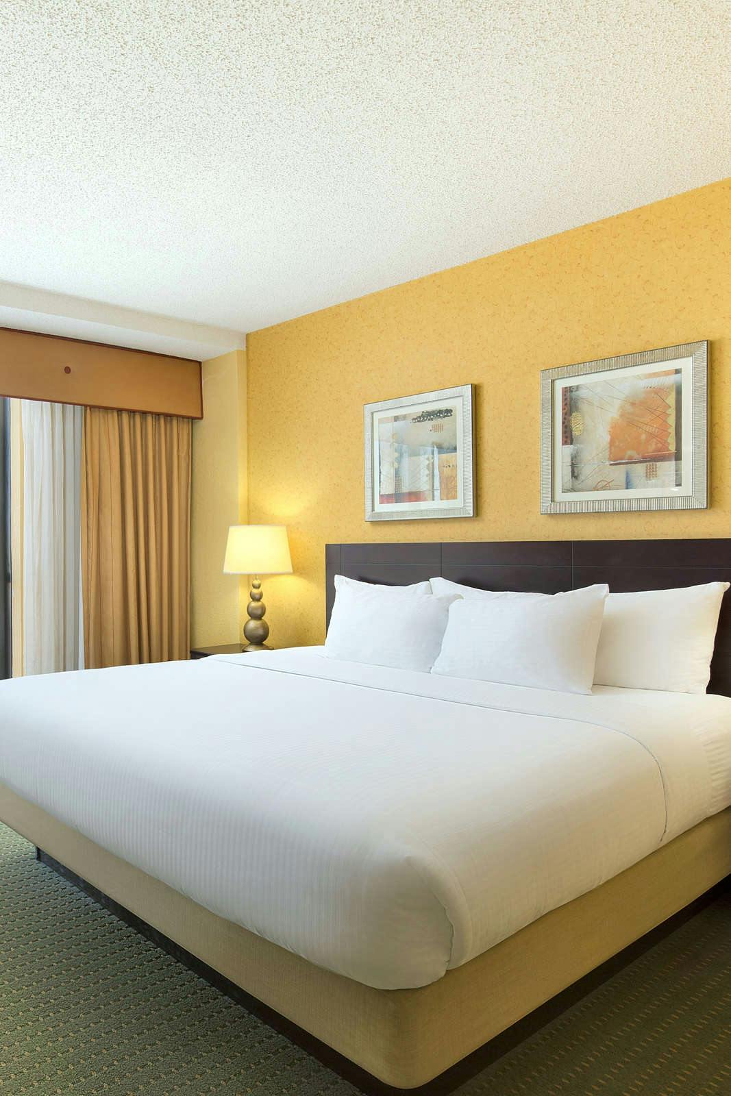 Hotel University Plaza Hotel photo 3