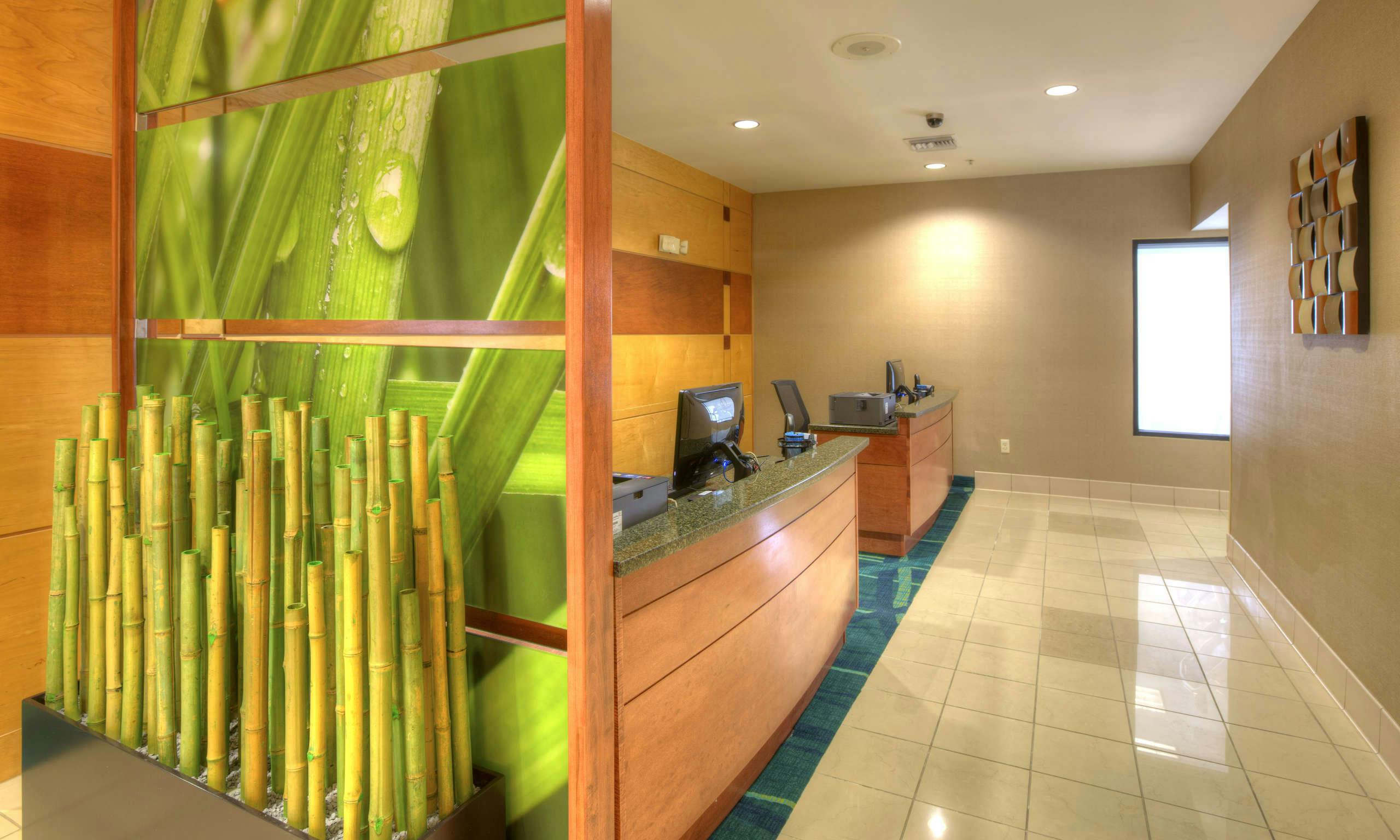 Springhill Suites by Marriott Tampa Brandon
