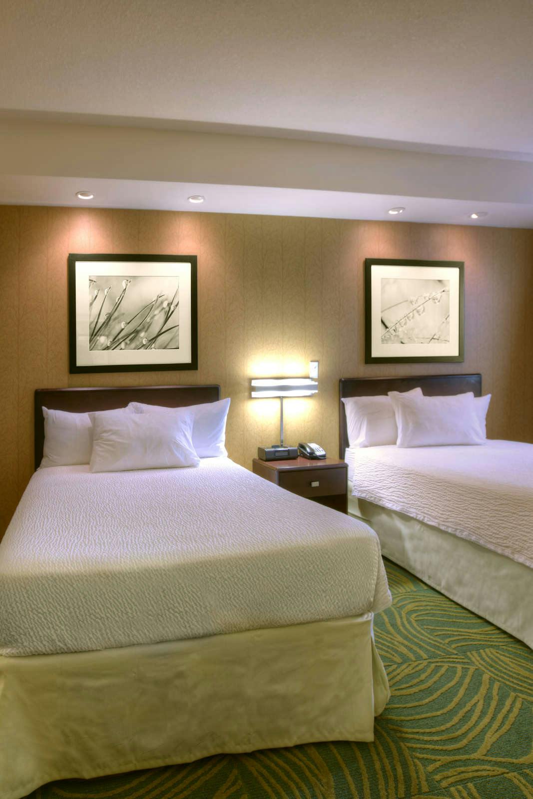 Hotel Springhill Suites by Marriott Tampa Brandon photo 3