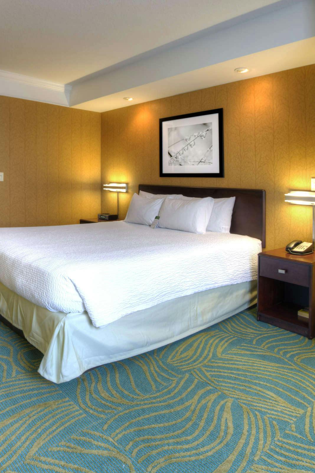 Hotel Springhill Suites by Marriott Tampa Brandon photo 2