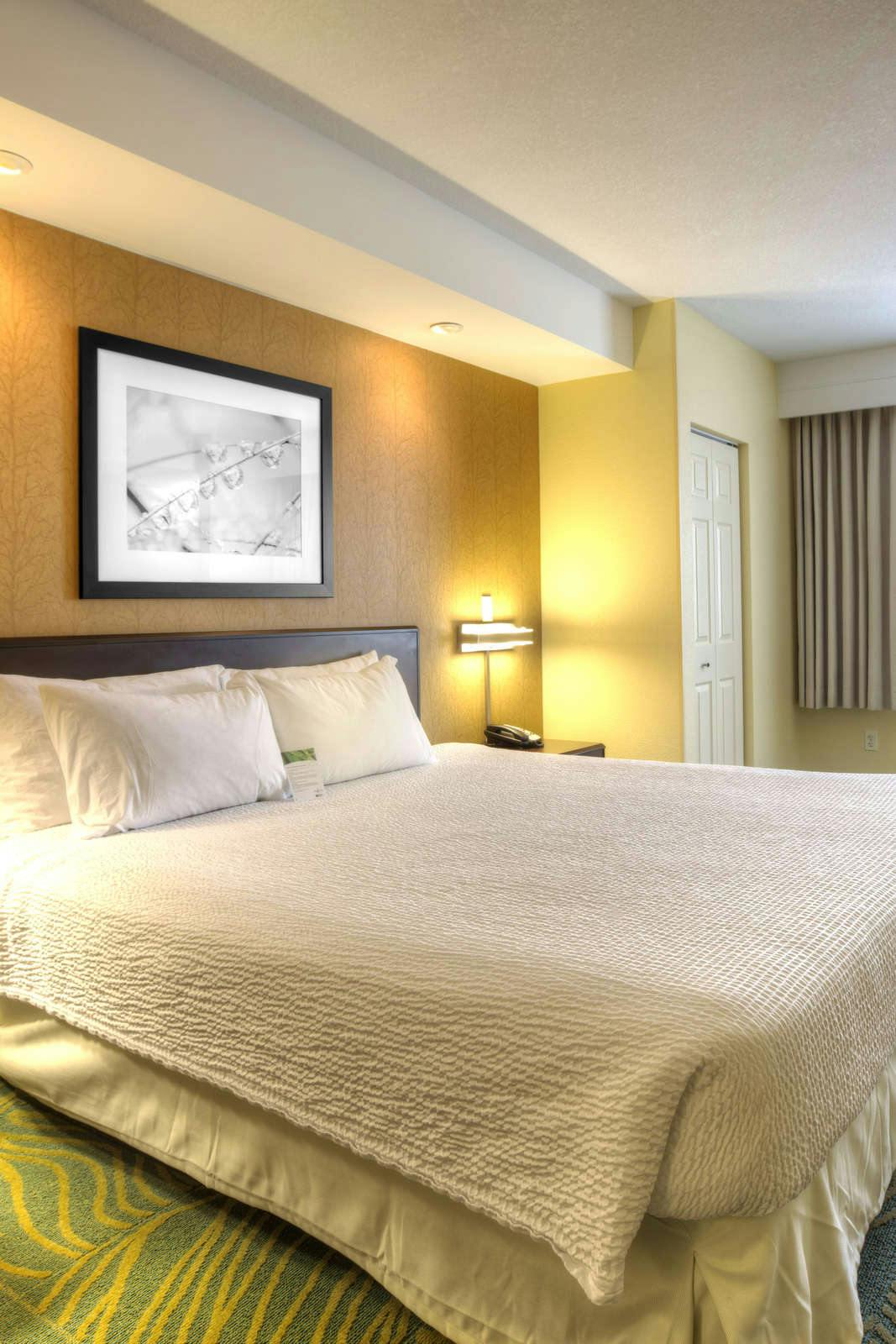 Hotel Springhill Suites by Marriott Tampa Brandon photo 1