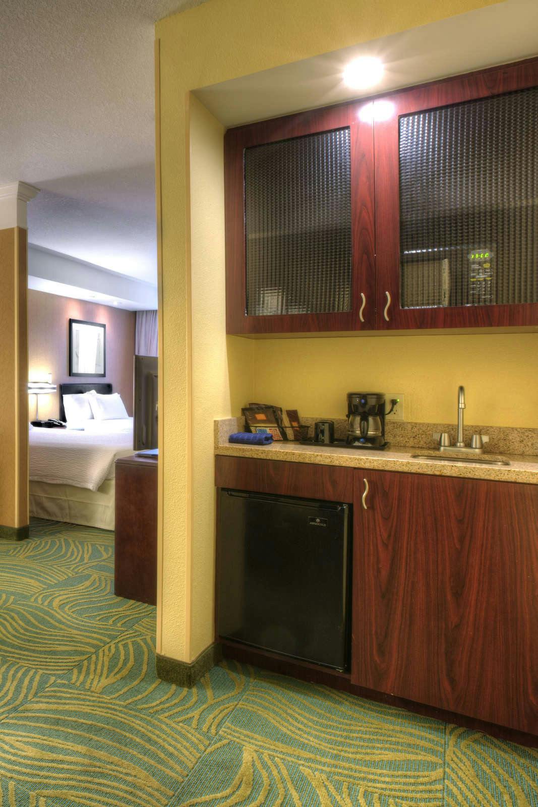 Hotel Springhill Suites by Marriott Tampa Brandon photo 5