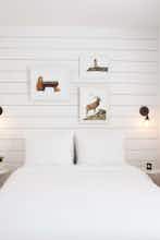 Hotel Salt House Inn photo 3