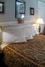 Hotel Inn on Bellevue photo 2