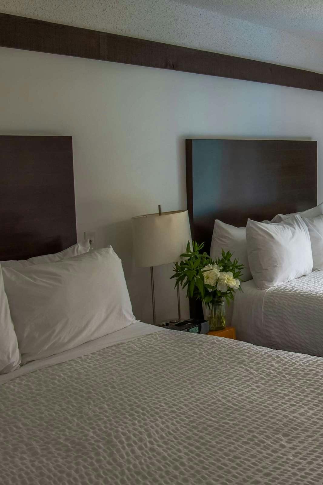 Hotel Stoke Hotel Sure Stay Collection By Best Western photo 2