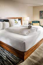 Hotel Staypineapple at Watertown Hotel photo 5