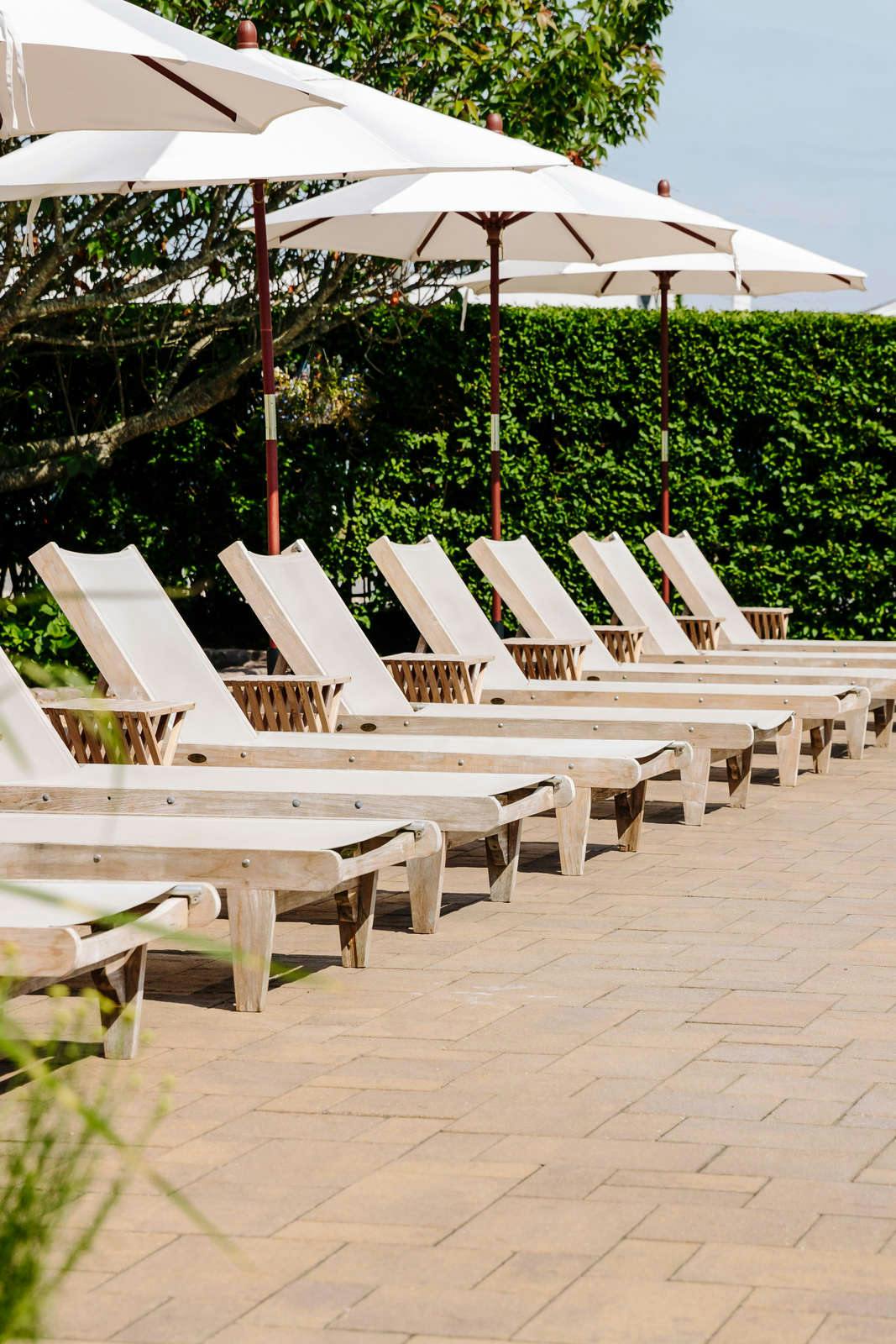 Hotel Daunt's Albatross Motel photo 5