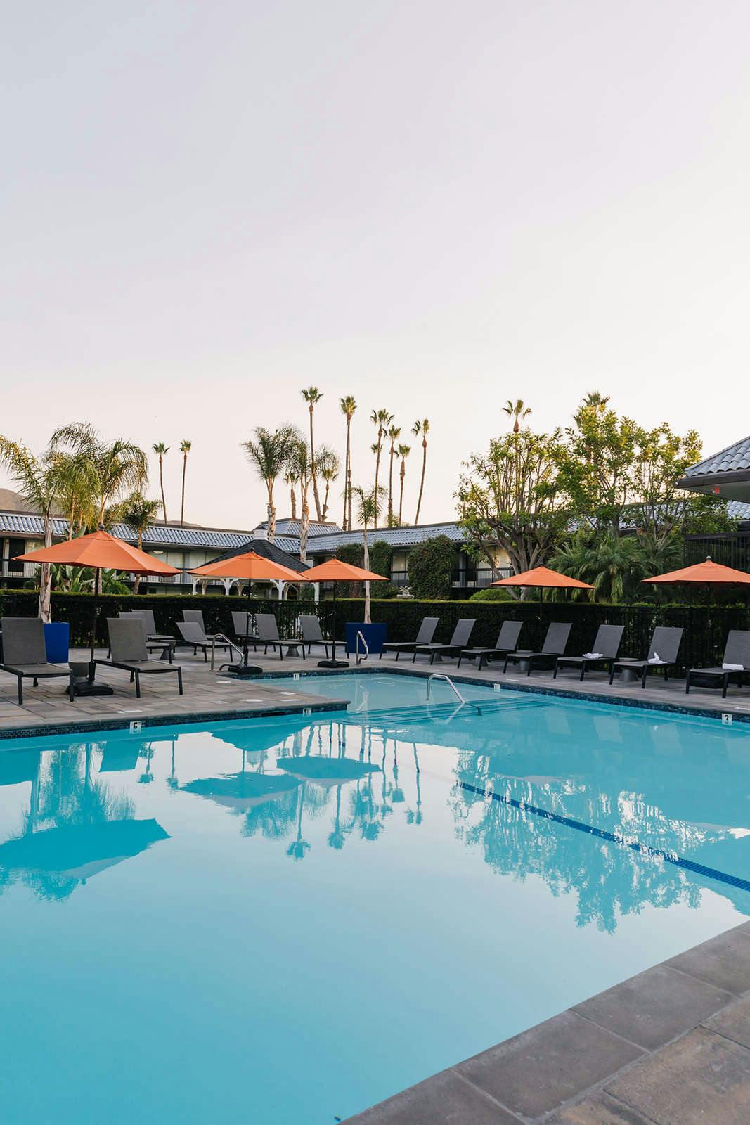 Hotel Palm Garden Hotel photo 5