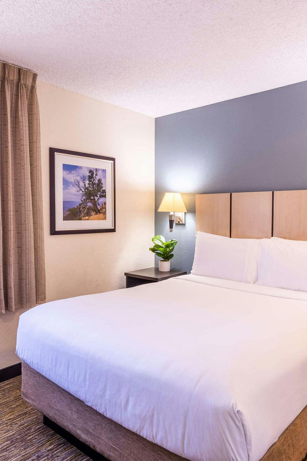 Hotel Sonesta Simply Suites Arlington photo 1