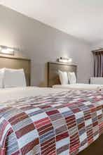 Hotel Red Roof Inn Detroit - Farmington Hills photo 3