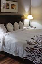 Hotel Red Roof Inn & Suites Midland photo 1