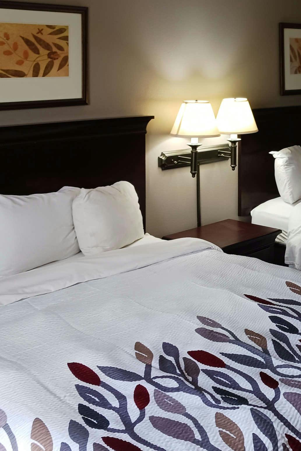 Hotel Red Roof Inn & Suites Midland photo 3