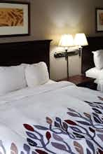 Hotel Red Roof Inn & Suites Midland photo 3