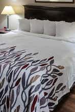 Hotel Red Roof Inn & Suites Midland photo 2