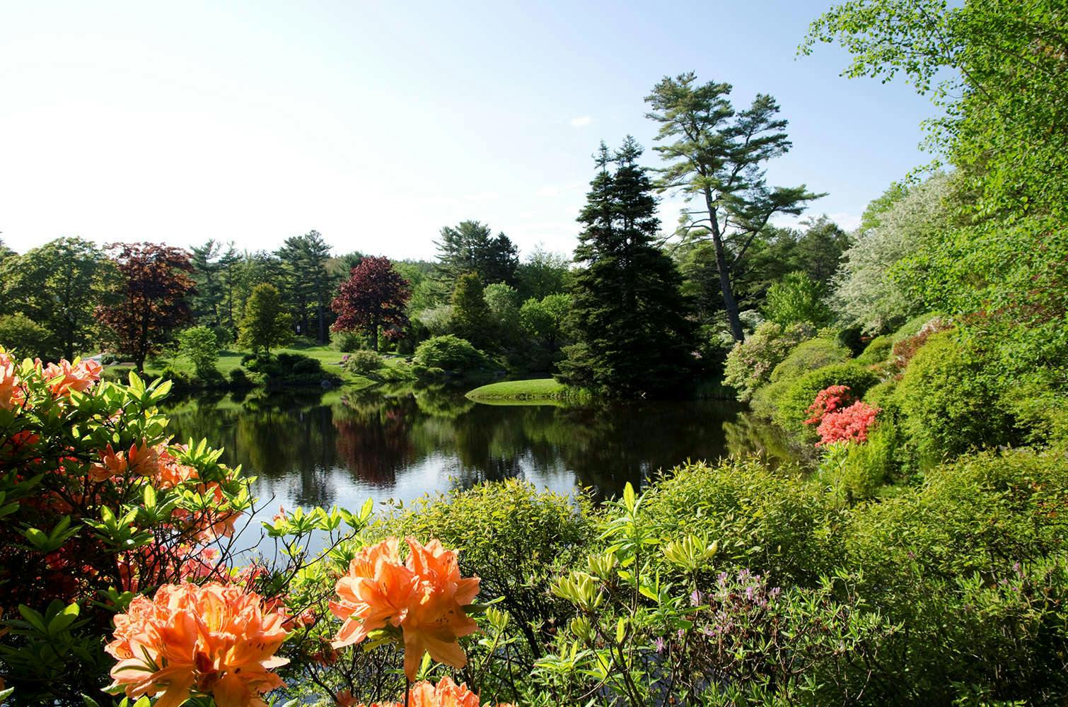 Hotel Asticou Inn photo 1