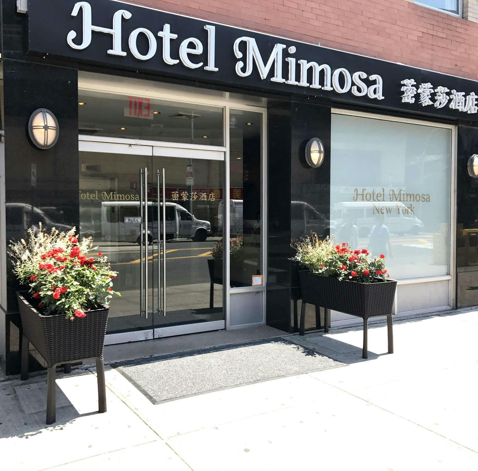 Hotel Mimosa